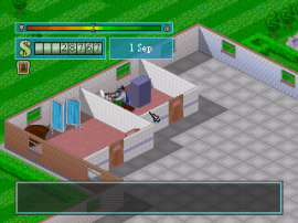 Theme Hospital background